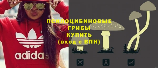 2c-b Елабуга