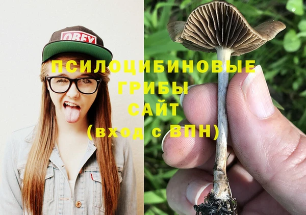гидропоника Елизово
