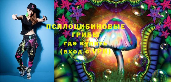 тгк Гусь-Хрустальный