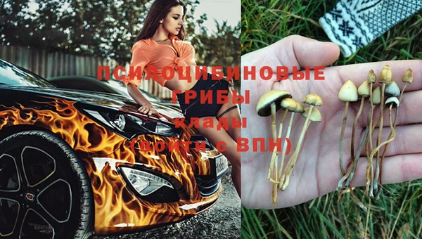 бутират Заводоуковск